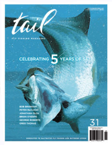 tail fly fishing magazine issue 31