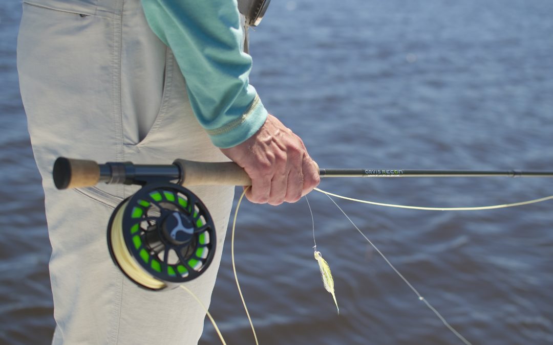 Saltwater Fly Reel Review Tail Fly Fishing Magazine