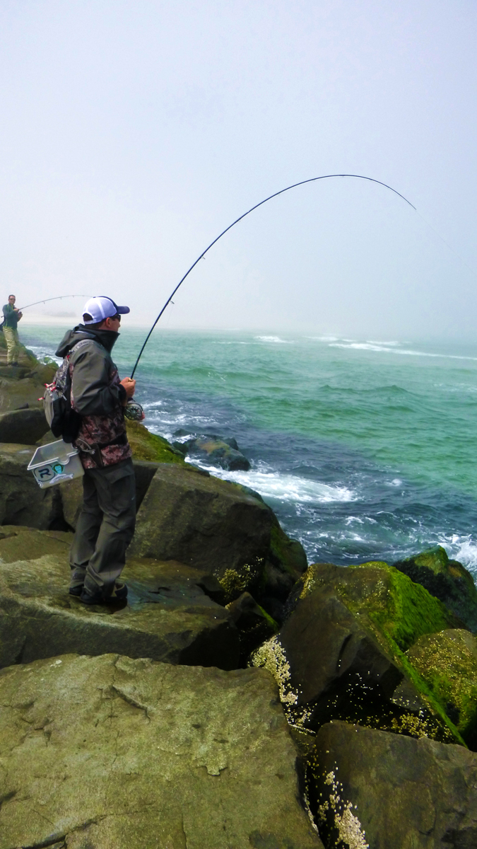 the best saltwater fly fishing magazine