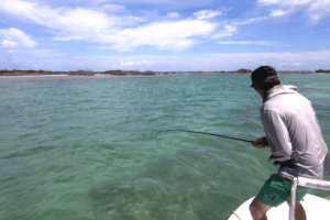 tarpon on the fly - fly fishing for tarpon