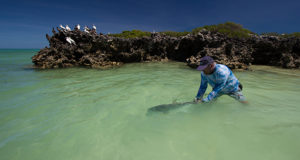 GT (giant trevally)