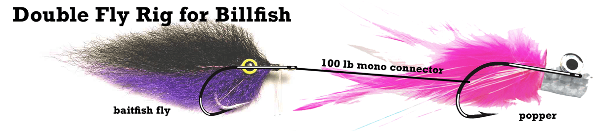 tail fly fishing magazine - fly fishing for blllfish