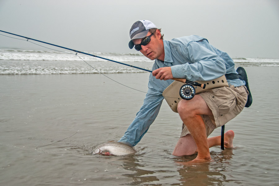 saltwater fly fishing for corbina in the surf 2