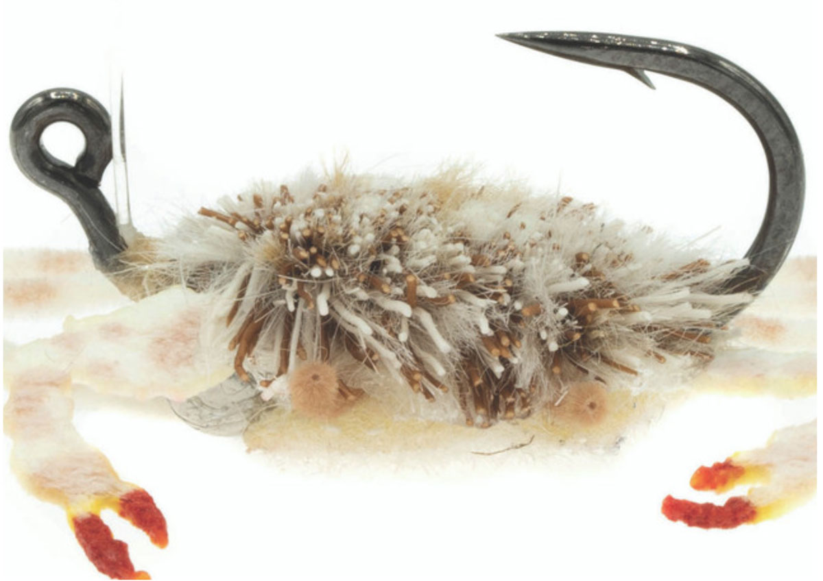 saltwater flies for permit - danger muffin crab