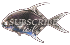 Saltwater fly fishing is all we do at Tail Fly Fishing Magazine.