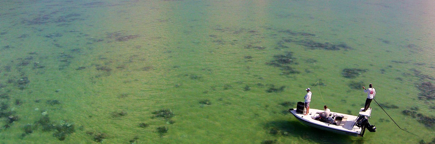 Bonefish on the fly