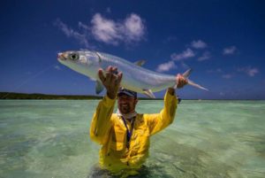 fly fishing for milkfish