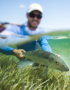 saltwater fly fishing photo contest - tail fly fishing magazine photo contest