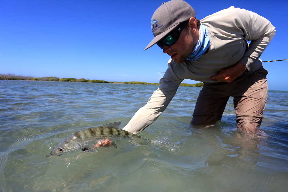 bonefish and permit on the fly - fly fishing for permit and bonefish