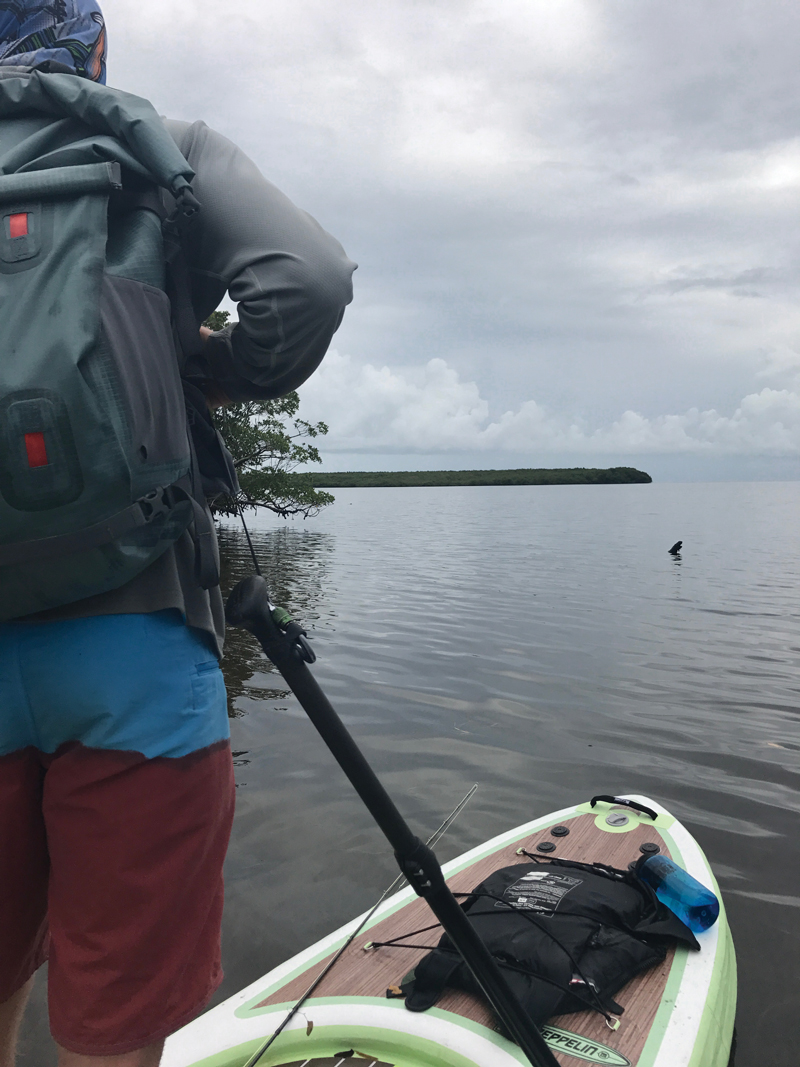 Beached: Fly Fishing Without a Boat