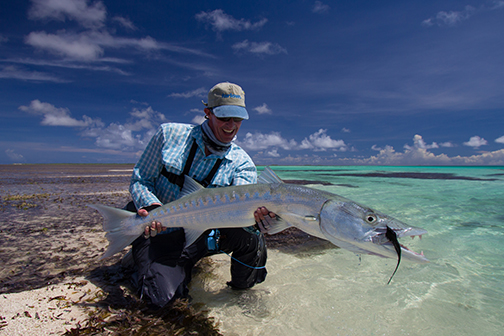 Species Spotlight: Barracuda