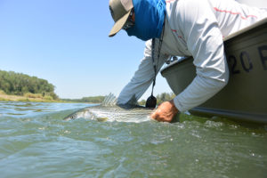 fishing for the future - saltwater fly fishing magazine