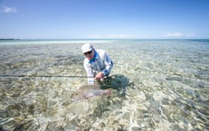 fishing for the future - saltwater fly fishing magazine