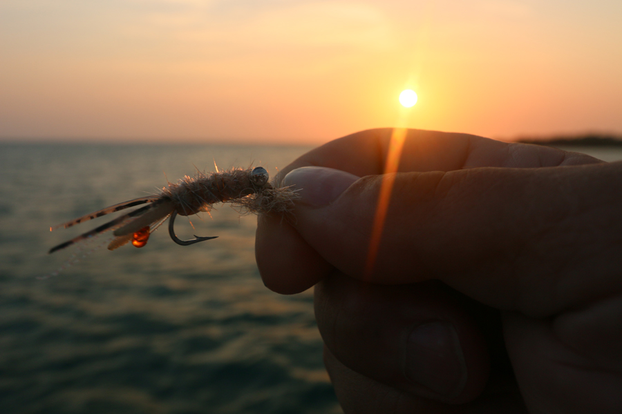 Fishing For The Future Part 3: Playing Proclivities