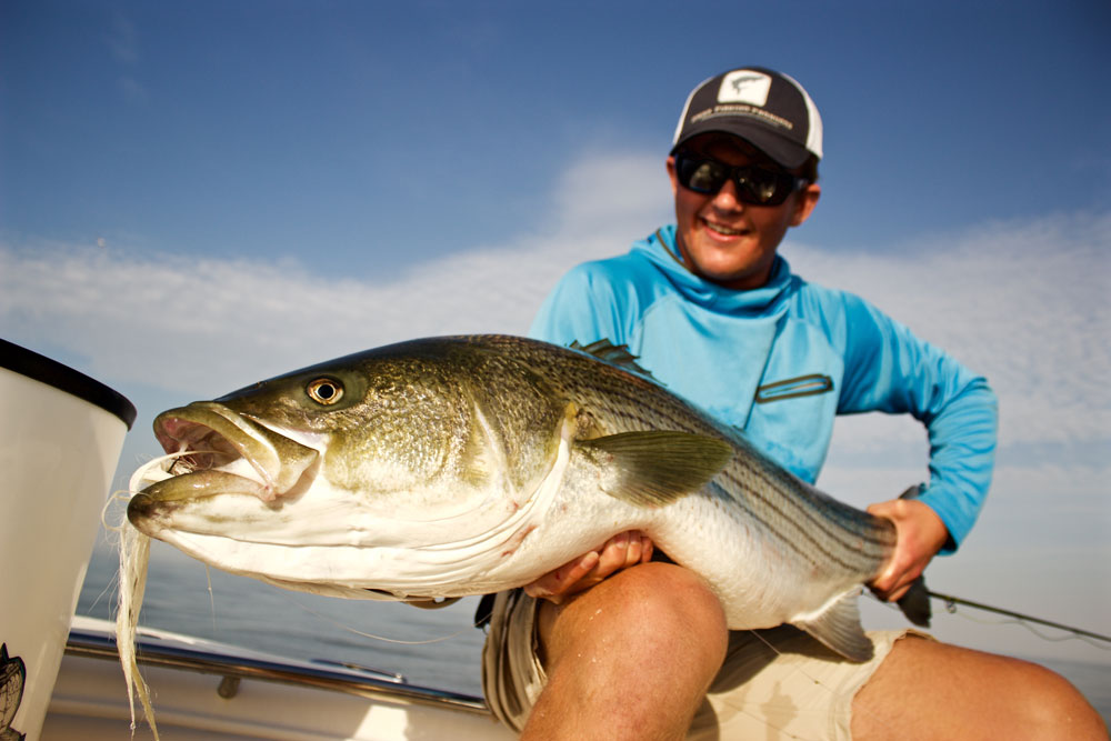 Striped Bass on the Fly Tail Fly Fishing Magazine