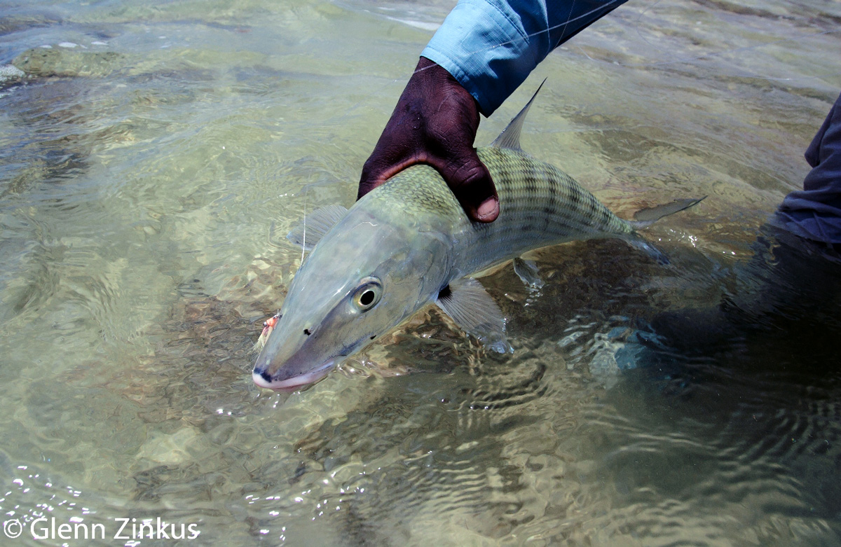 How To Catch A Bonefish