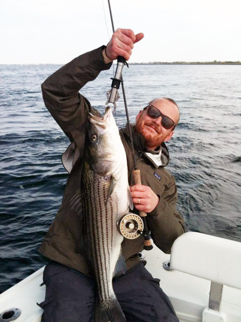 THE DECLINE OF THE STRIPED BASS