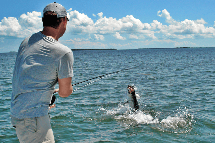 Tarpon – A Big Pine Key Experience