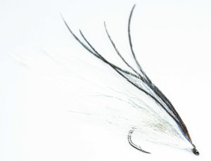 Tail fly fishing magazine - 10 flies you should never be without