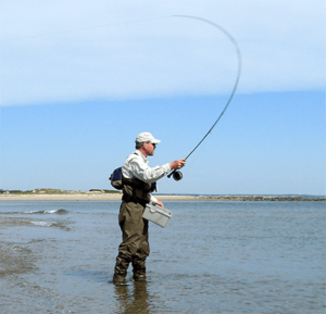 saltwater fly fishing - tail fly fishing magazine is fly fishing for striped bass