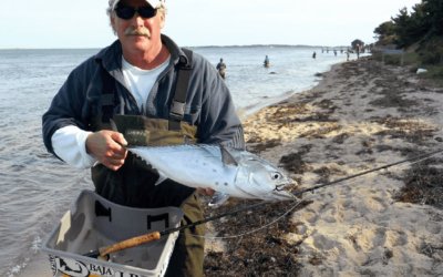 Tail - saltwater fly fishing magazine