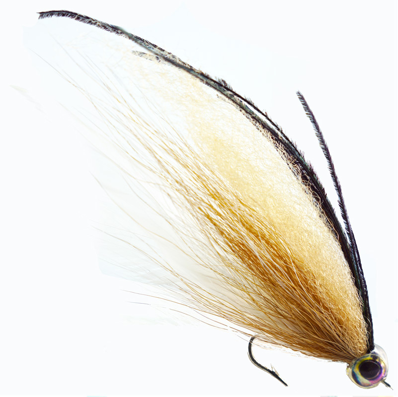 roosterfish flies - tail fly fishing magazine