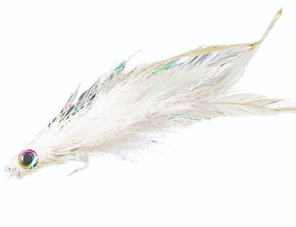 roosterfish flies - tail fly fishing magazine