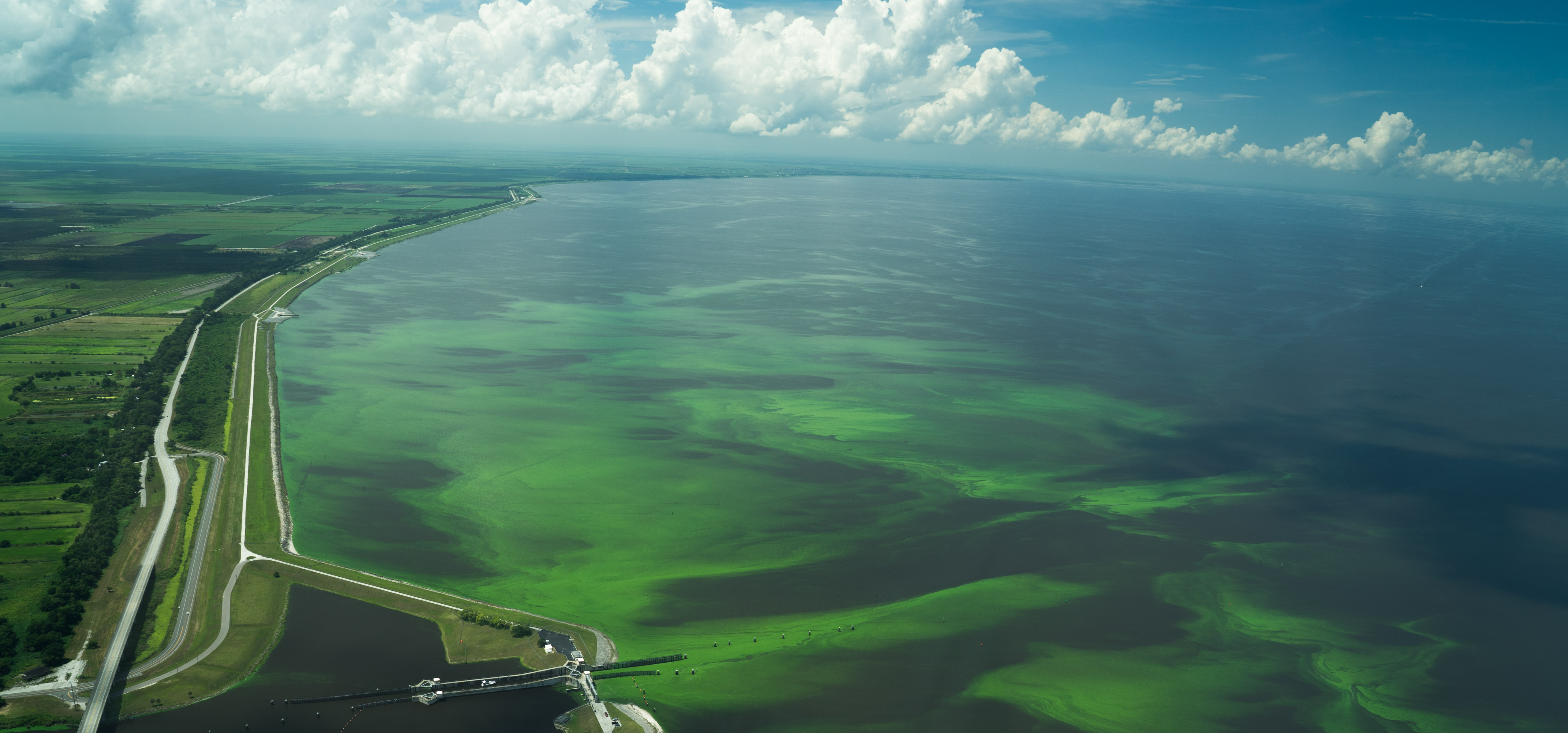 Another summer, another water crisis in Florida. When will politicians prioritize human health and valuable fisheries over Big Sugar?