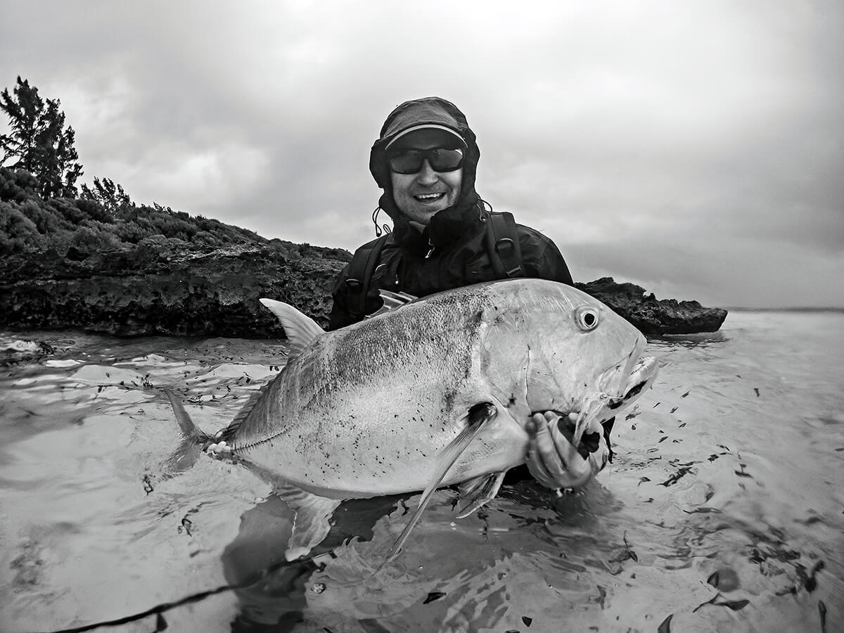 Giant Trevally on Kiritibati