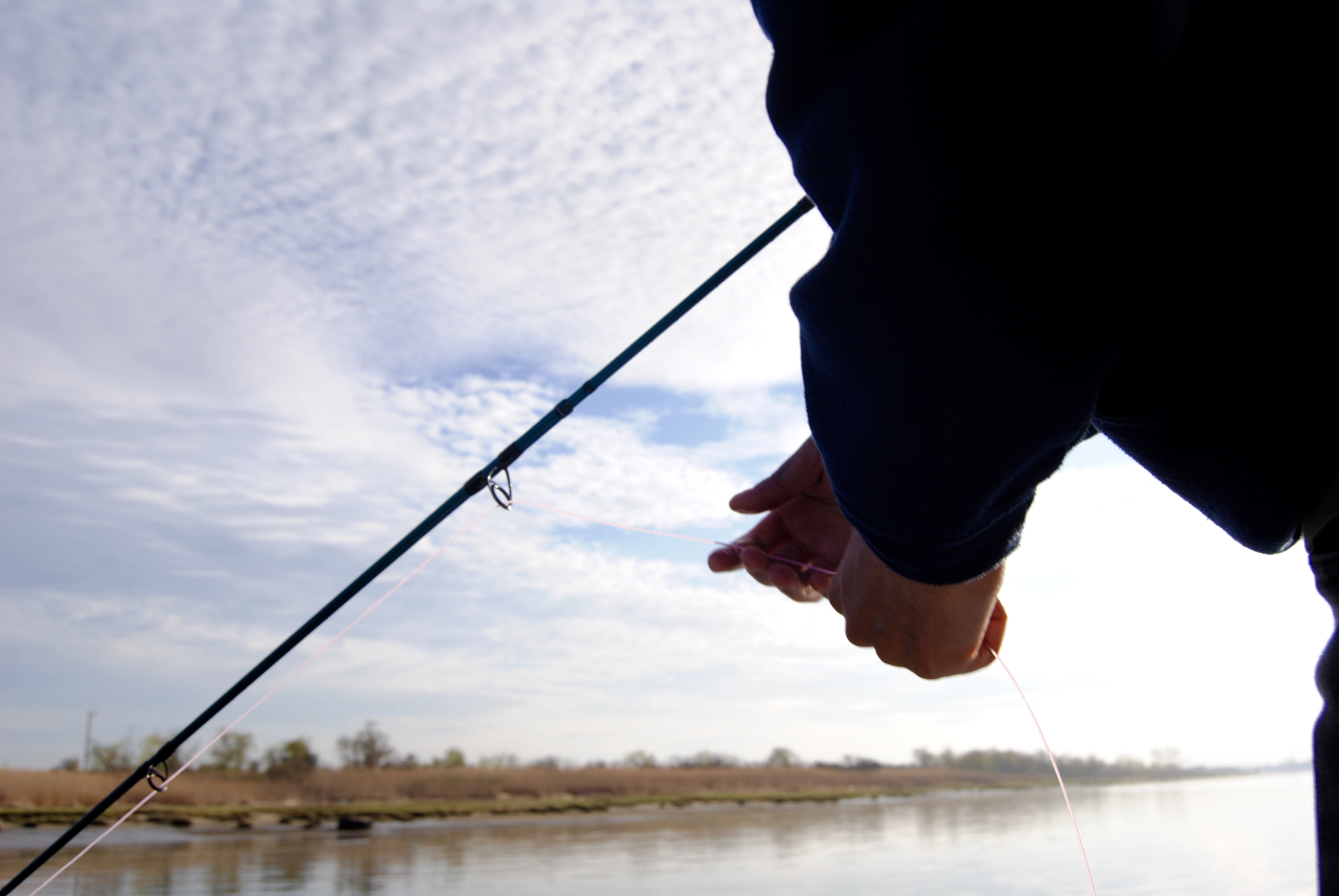 Heavyweights of Jamaica Bay