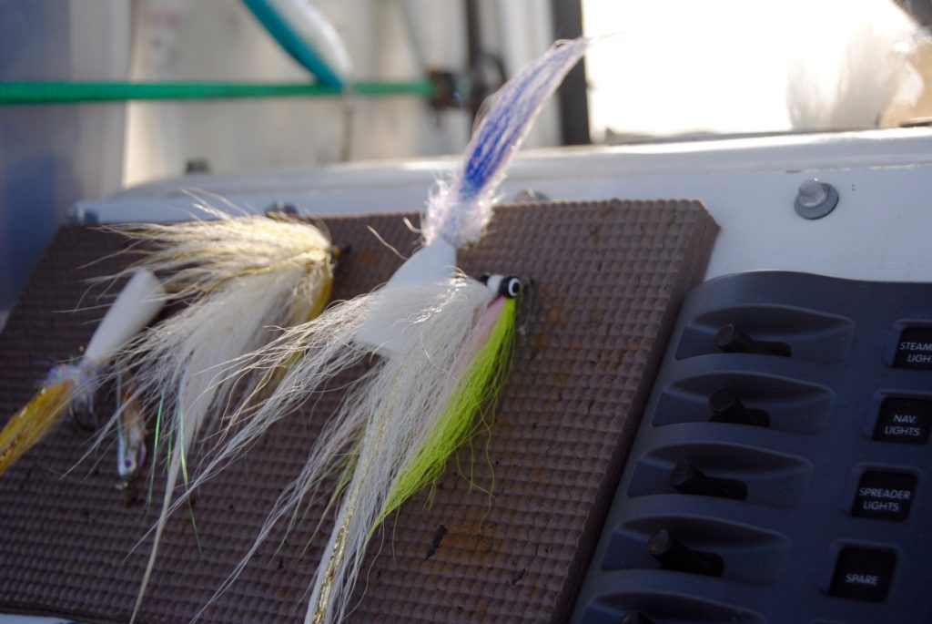 Heavyweights of Jamaica Bay Tail Fly Fishing Magazine