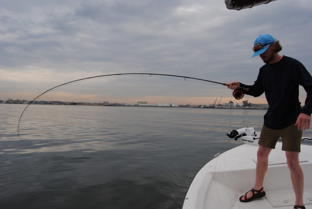 Heavyweights of Jamaica Bay Tail Fly Fishing Magazine