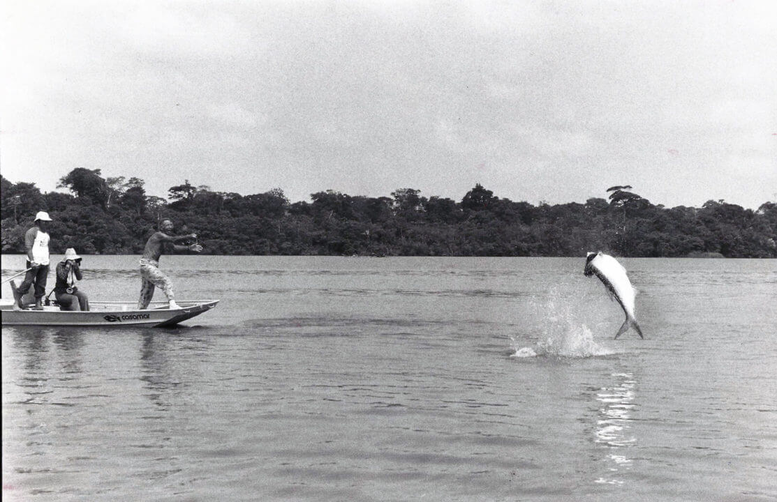 Fly Fishing for Tarpon - joe Doggett