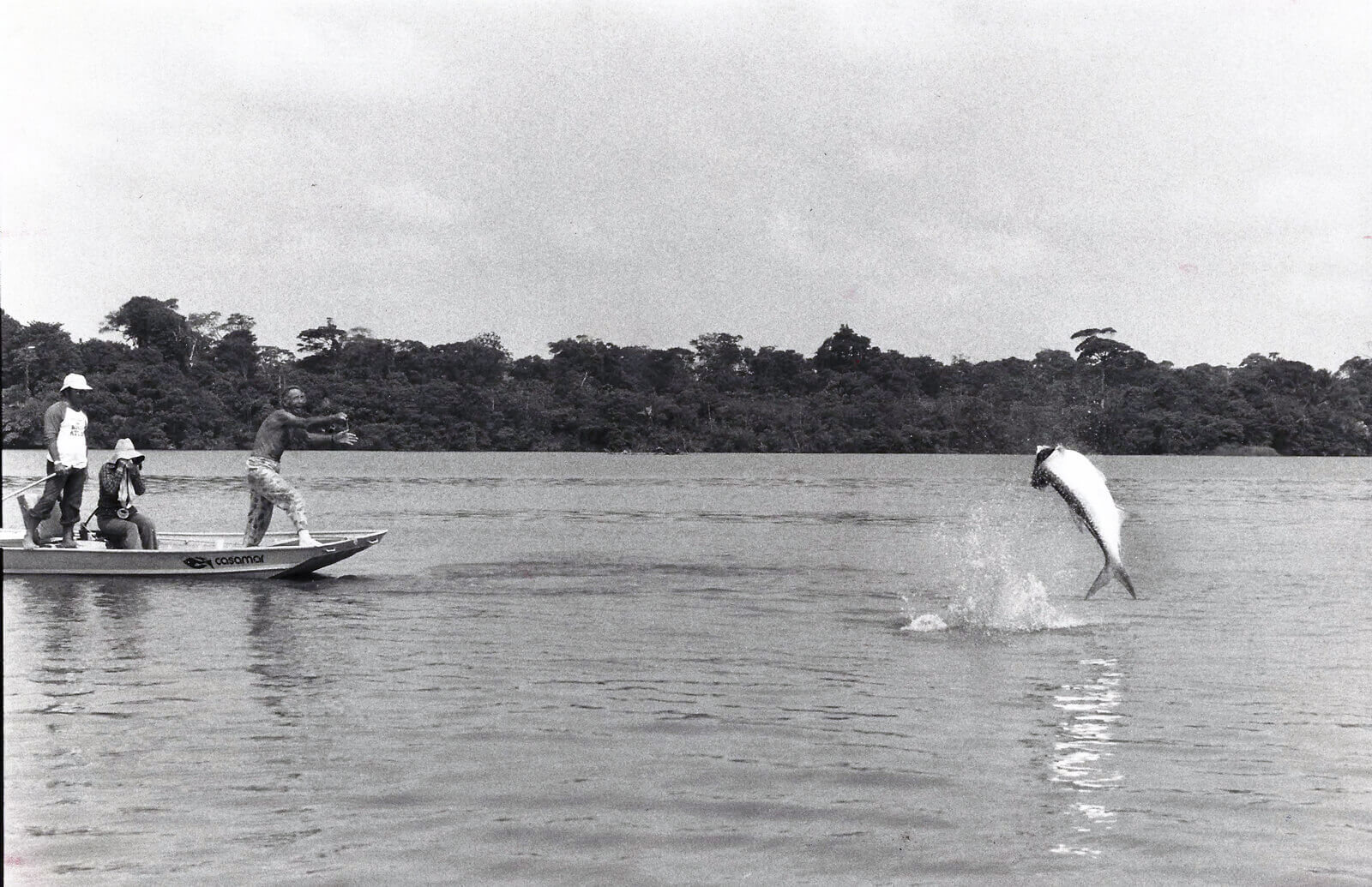 Flying High (For A Tarpon)