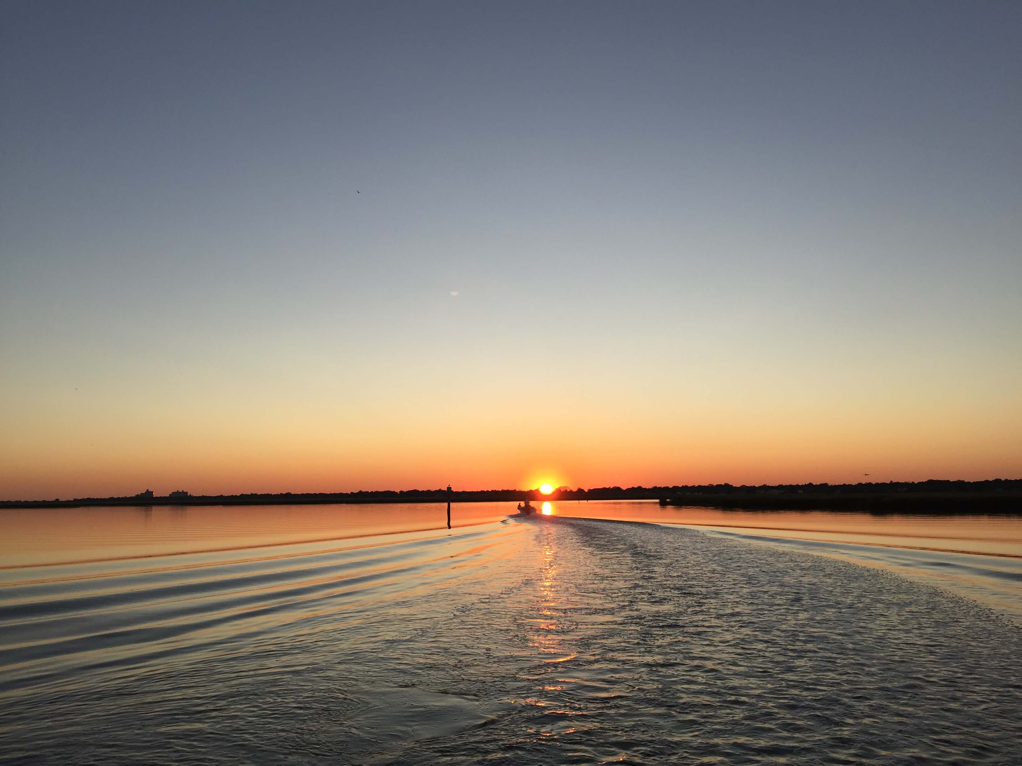 Salt Marsh Secrets