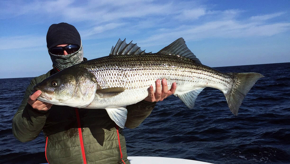 Bass on the Fly: A Popper Primer – Dark Skies Fly Fishing