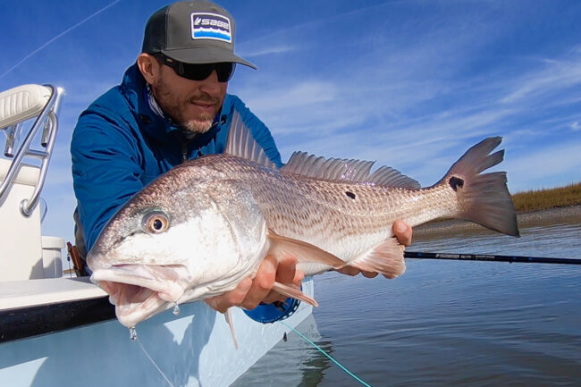 Lowcountry Redfish, Montauk Stripers and More in Tail Fly Fishing