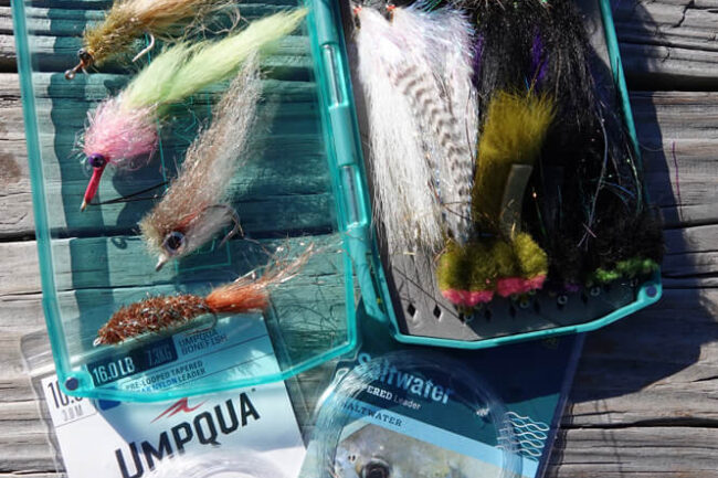 https://www.tailflyfishing.com/wp-content/uploads/2020/09/saltwater-fly-fishing-fly-fishing-magazine-tail-fly-fishing-magazine-650x433.jpg
