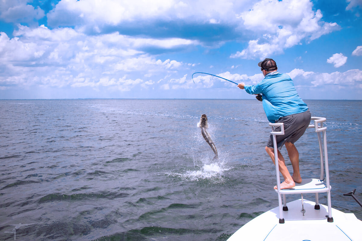 Fiberglass Rods for Saltwater Fly Fishing - Tail Fly Fishing Magazine
