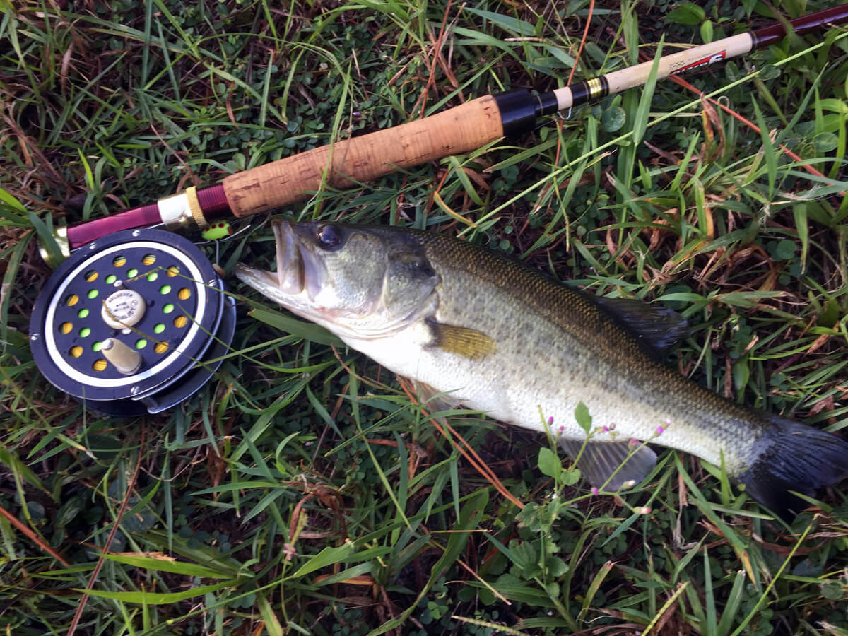 saltwaterflyfishingwithfiberglassrods4tailflyfishing