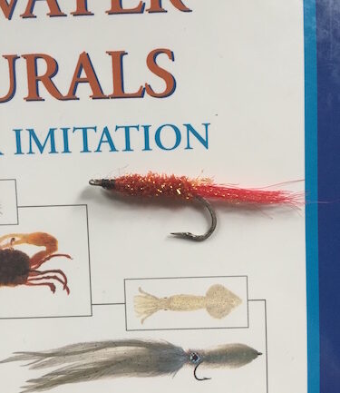 saltwater fly fishing - worms