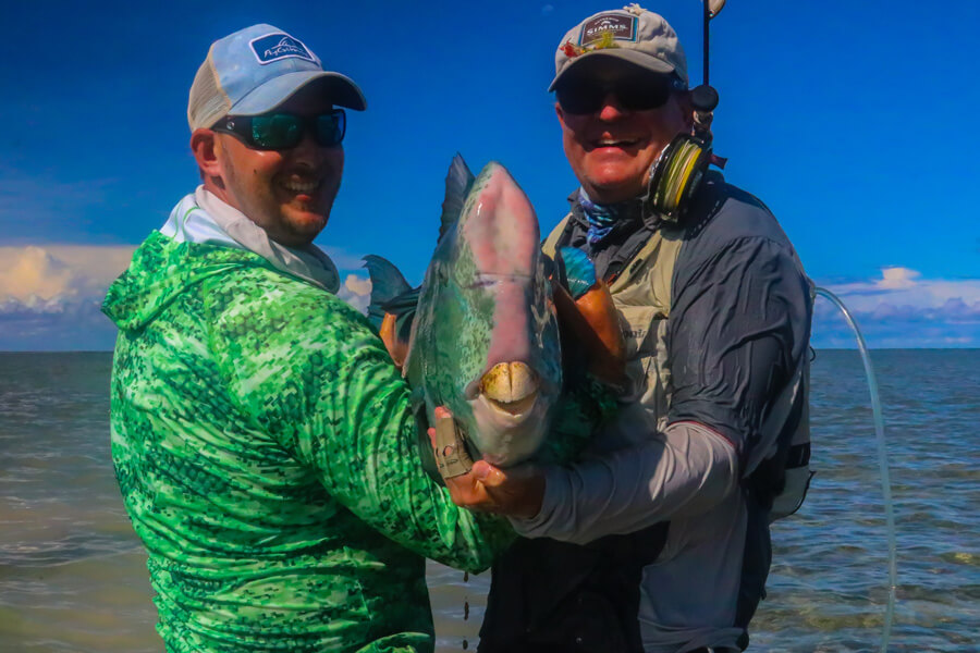 Bison Of The Flats: The Bumphead Parrotfish - Tail Fly Fishing