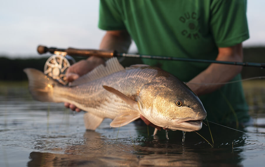 Redfish Road Trip: Saltwater fly fishing - Tail Fly Fishing Magazine