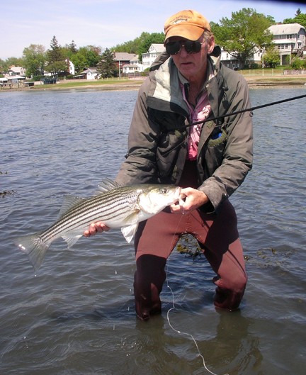 fly fishing for striped bass with jack gartside
