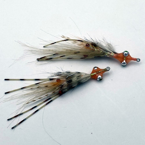 The Evolution Shrimp Fly