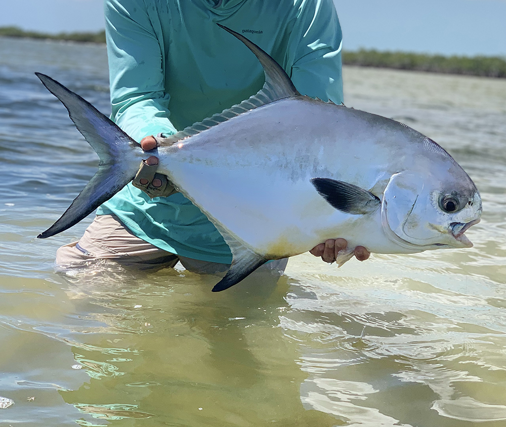 Topwater Permit