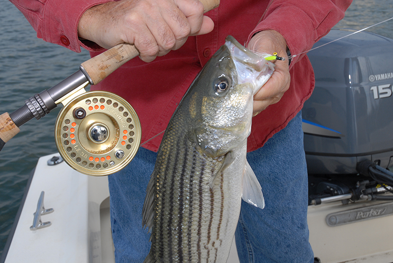 Deep Dive on the Clouser Deep Minnow - Tail Fly Fishing Magazine