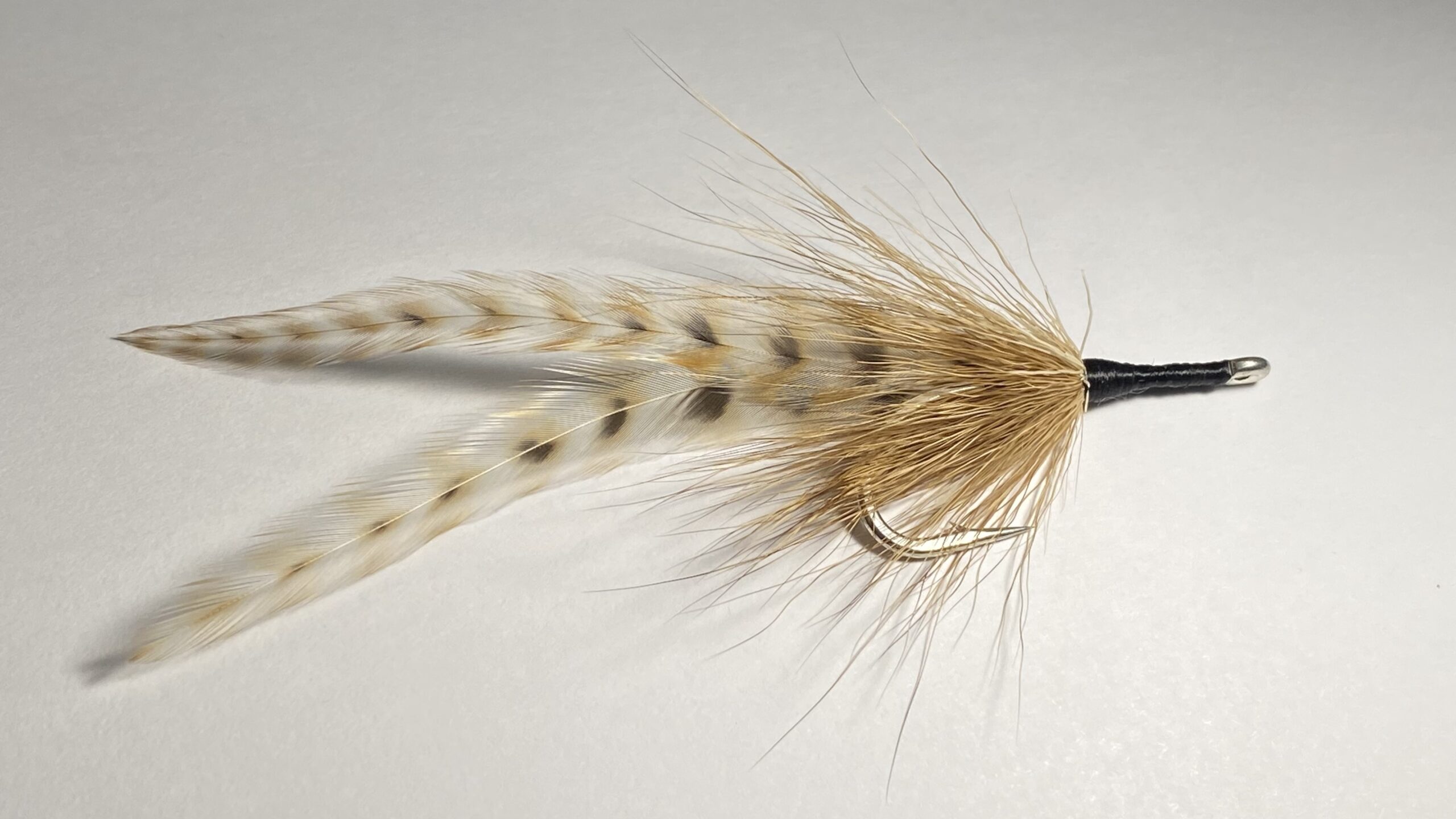 Tarpon Cockroach – One of the Best Tarpon Flies of All-Time