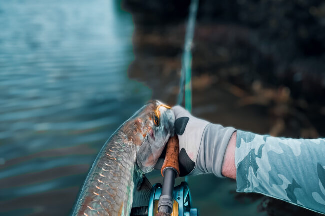 fly fishing in Mexico - Tail Fly Fishing Magazine