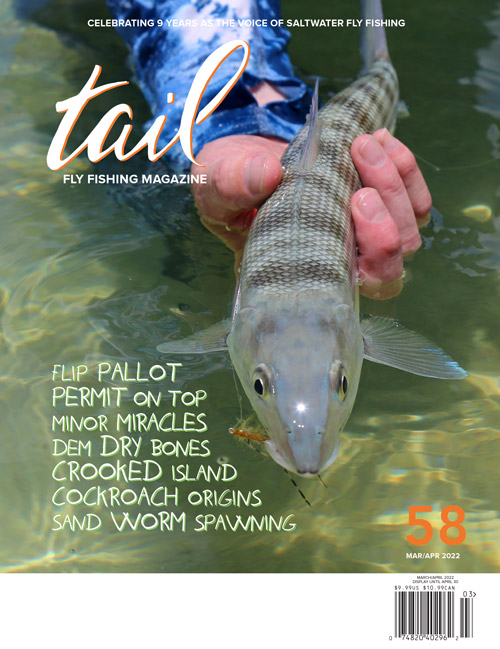 Back Issues of Tail Fly Fishing Magazine - Tail Fly Fishing Magazine
